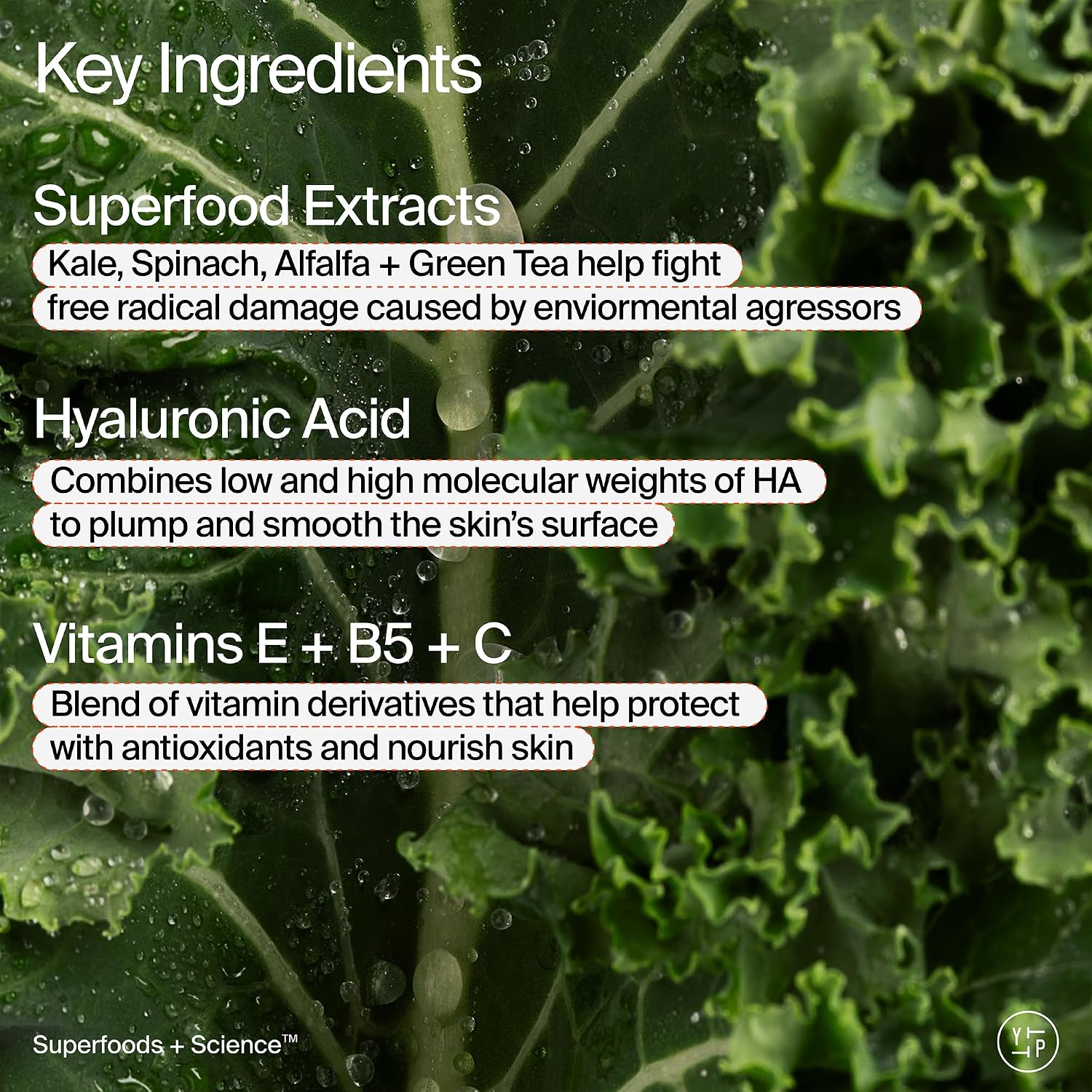Youth To The People Superfood Air-Whip Moisture Cream Refill Bundle Set - Kale + Green Tea Hyaluronic Acid Face Moisturizer (2oz) + (5oz Refill Pouch), Up to 48HR Hydrattion, Dewy Glow, All Skin Types